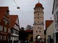 DSC05300 - Copy
